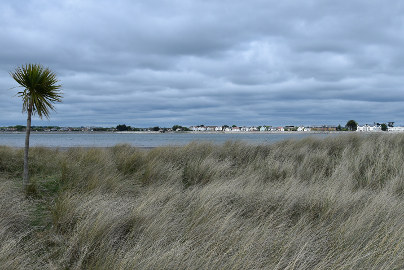 North Bull Island, Dublin