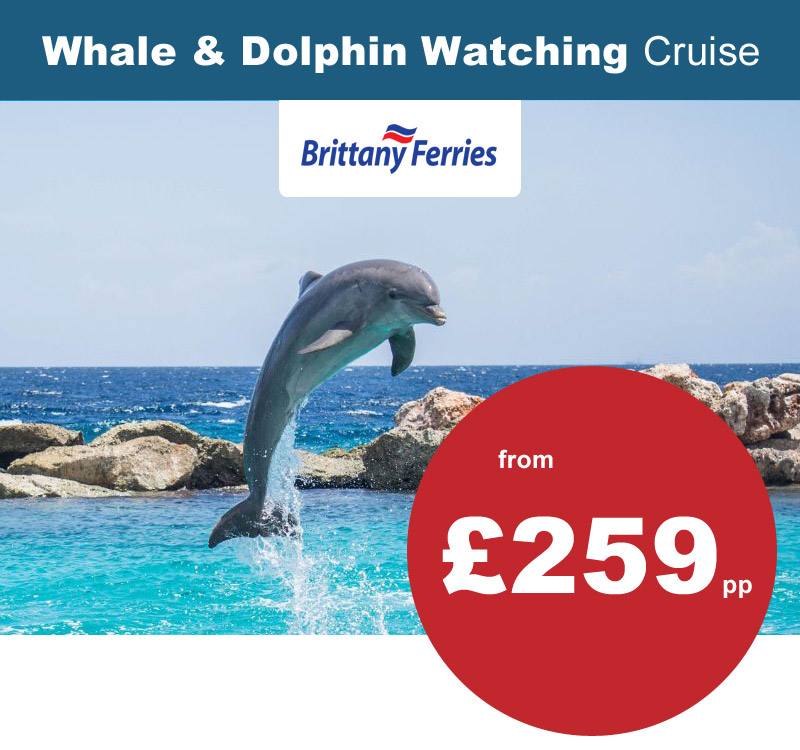 Whale & Dolphin Watching Sea Safari Cruise To Spain